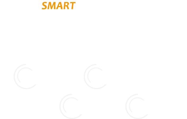 SOLUTION roral web service vusiness partner smartphone korea - mobile