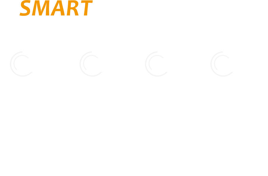 SOLUTION roral web service vusiness partner smartphone korea - pc